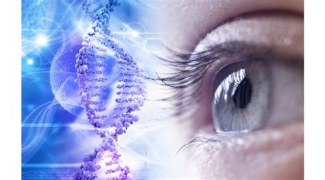 Gene Therapy for Retinitis Pigmentosa Shows Promise | OBN