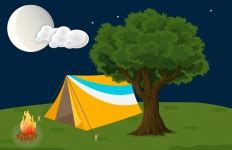 Forest Camp Free Stock Photo - Public Domain Pictures