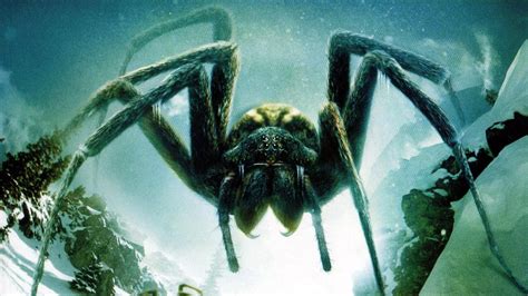 🔥 [50+] Scary Spider Wallpapers | WallpaperSafari