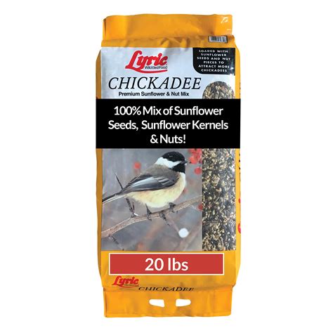 10 Best Chickadee Bird Food for Optimal Health and Nutrition ...