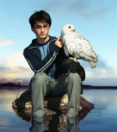 Harry Potter Hedwig