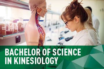 Bachelor of Science in Kinesiology | Faculty of Kinesiology, Sport, and ...