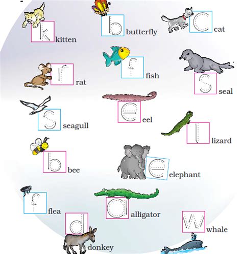 NCERT Solutions for Class 1 English Unit 3 Poem - One Little Kitten | Free Solutions PDF Download