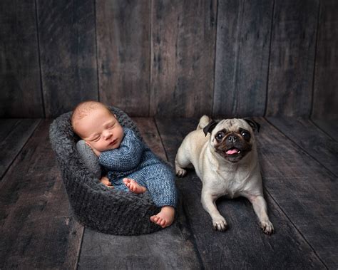 Family Newborn Photoshoot with Dog | One Big Happy Photo