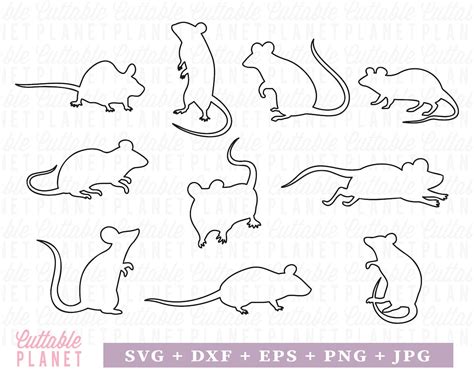 Rats Outline Svg, Dxf, Eps, Png, Jpg, Outline Rat Mice Svg, Mouse Outline Svg, Rat Outline Clip ...