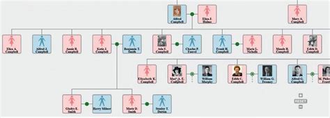 Discover The Free Svg Family-tree Generator - Family Tree UK | Everand