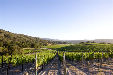 Talley Vineyards: A Rich History in the Arroyo Grande Valley - Skurnik Wines & Spirits