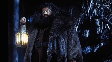 JK Rowling Explained Why Harry Potter's Hagrid Doesn't Have a Patronus ...