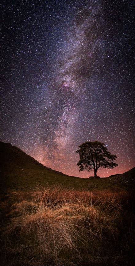 Sycamore Gap Milky Way – Tower House Gallery