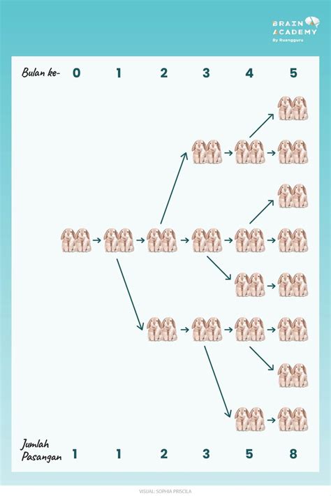 Asal Usul, Rumus, dan Pola Bilangan Fibonacci