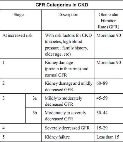 Chronic Kidney Disease: Symptoms and Diagnosis — Vikaspedia