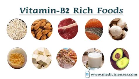 Top 10 Indian Foods Rich In Vitamin B2