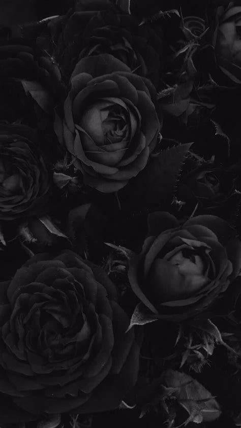 BTS themes, black profile HD phone wallpaper | Pxfuel