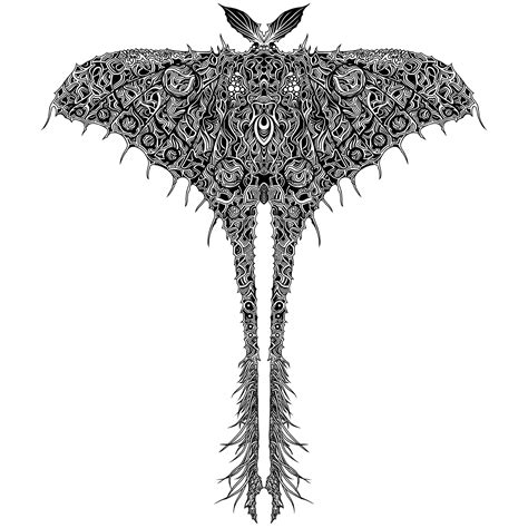 Comet Moth | Behance