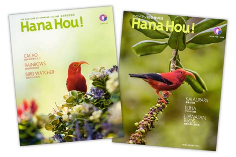 Hana Hou! – Studio Elepaio: Hawaii art, graphic design, illustration & photography