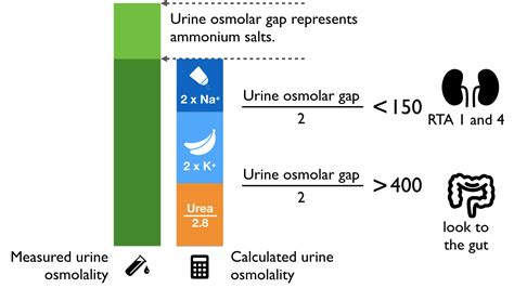 urine anion gap – Precious Bodily Fluids