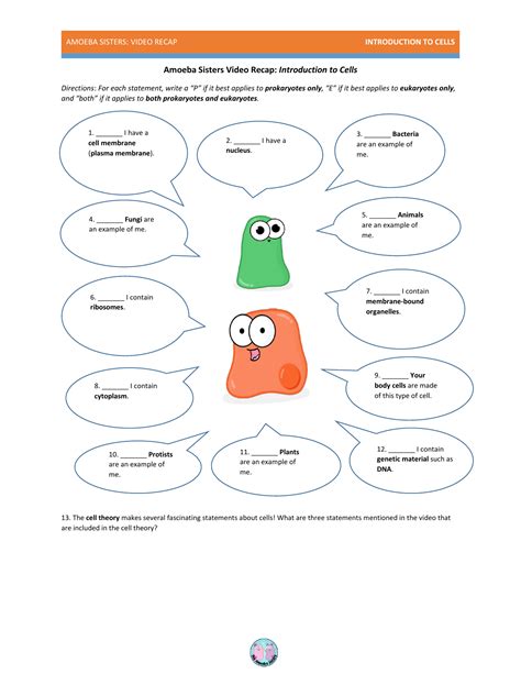 The Amoeba Sisters The Cell Cycle And Cancer Video Worksheet — db-excel.com