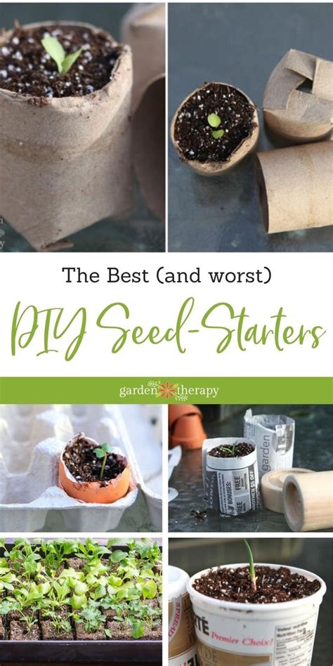 DIY Seed Starting Trays: 7 Easy, Inexpensive Containers to Try in 2023 ...