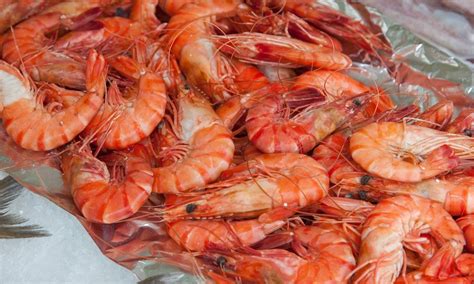 The Differences Between Prawns and Shrimp | Mac’s Raw Bar