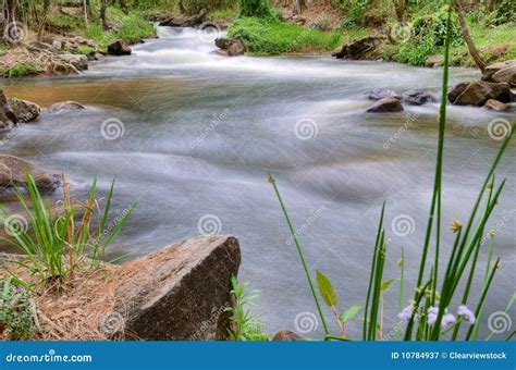 River or Stream Nature Landscape Stock Image - Image of landscape, running: 10784937