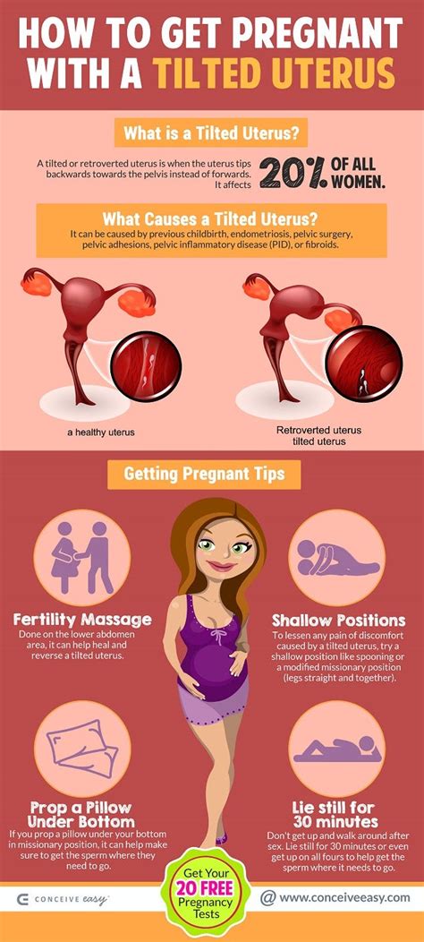 How to Get Pregnant with a Retroverted Uterus Infographic | by Conceive Easy | Medium