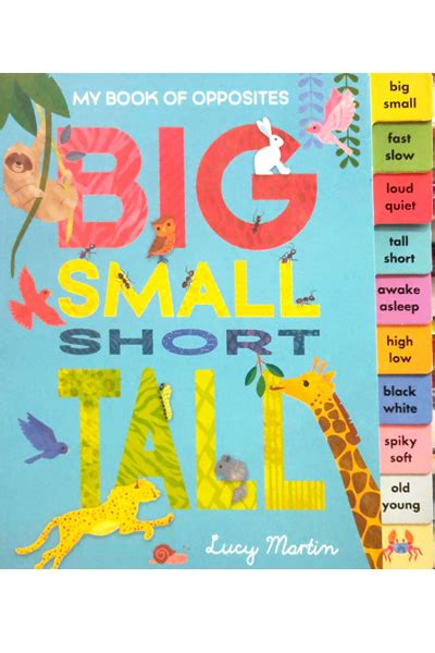 My Book of Opposites: Big Small Short Tall - Board Book - Bargain Book ...