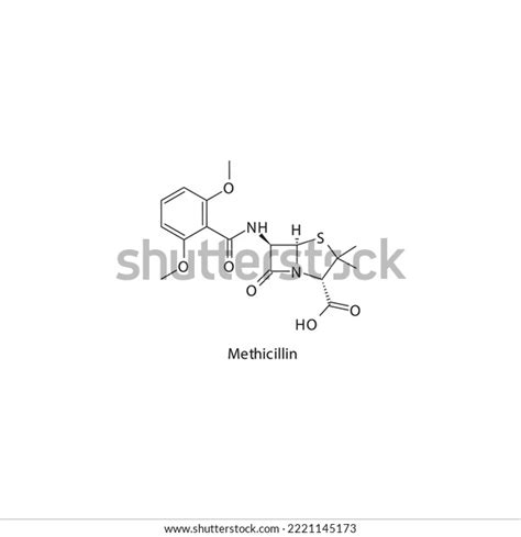 Methicillin Flat Skeletal Molecular Structure Penicillin Stock Vector ...