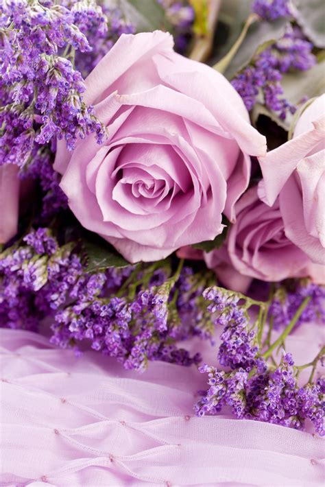 History and Meaning of Lavender Roses - ProFlowers Blog