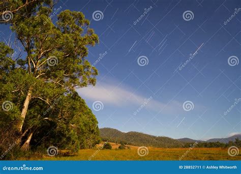 Valley by night stock image. Image of blue, tree, valley - 28852711