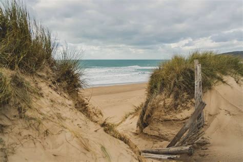 Living beaches | Tourism in Cotentin