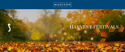 Blog Posts - Madison & Company Properties, LLC