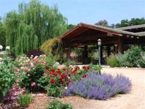 Guide To Descanso Gardens - CBS Los Angeles