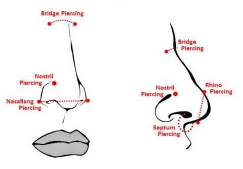 Must-Read about Nose Rings and Piercing | HubPages