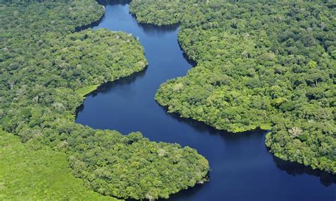 Cinco países abrigam 70% do que sobra da natureza selvagem do planeta: o Brasil é um deles!