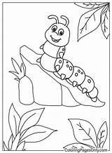 Caterpillar Color Page  Free Printable Coloring Pages sketch template