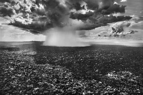 Amazonia: Sebastião Salgado's odyssey into the rainforest | CNN