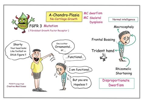 Achondroplasia: Intelligent, Disproportionate Dwarf - Creative Med Doses