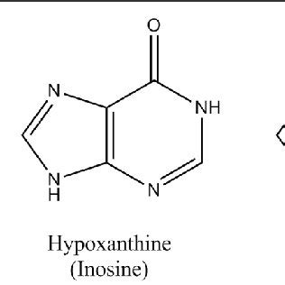 Comparison of relevant nucleoside/nucleotide structures. Ribavirin is... | Download Scientific ...