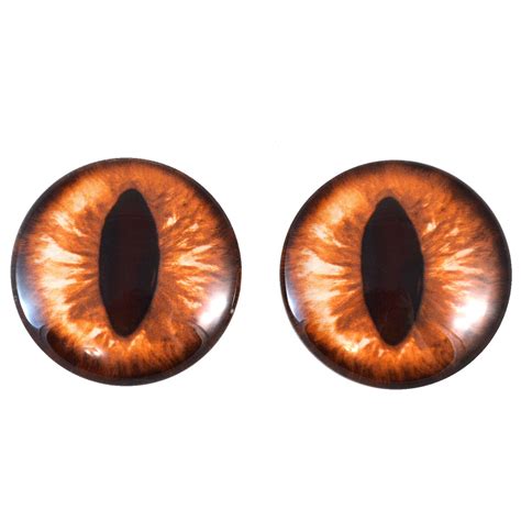 Amber Cat Glass Eyes – Handmade Glass Eyes