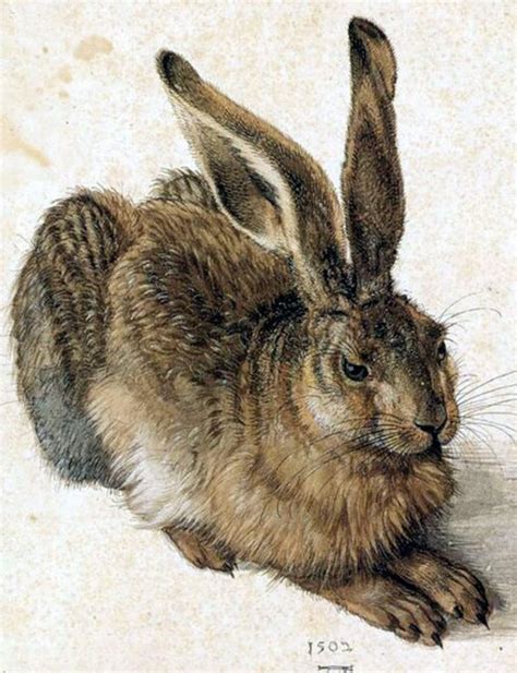 Albrecht Durer-young Hare, 1500s, Rabbits, Bunny, Animal Art Print ...