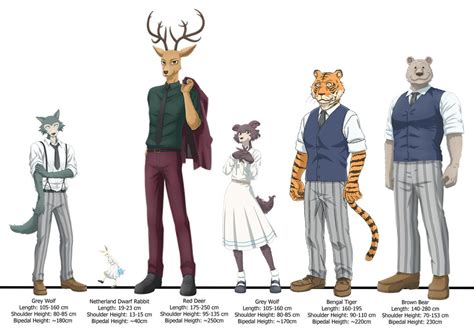 Even when I first watched Beastars I questioned the heights of the characters. I wondered how ...