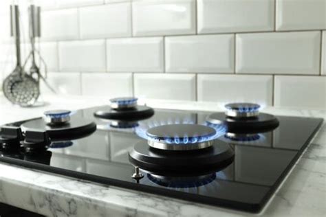 Best Gas Stove Brands In India: Check Out the Best Gas Stove Brands