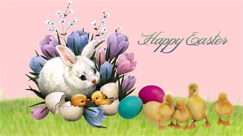 Baby Easter Chicks Wallpapers - Wallpaper Cave