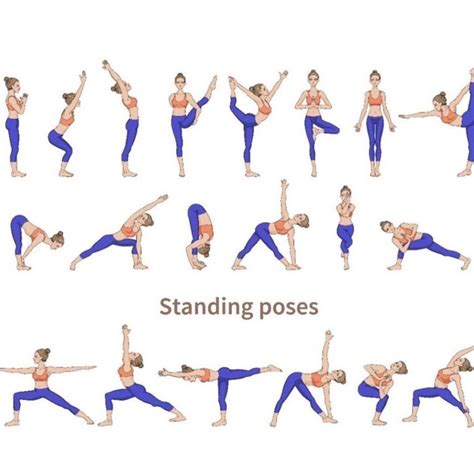 best standing yoga poses for seniors image – Yoga Poses