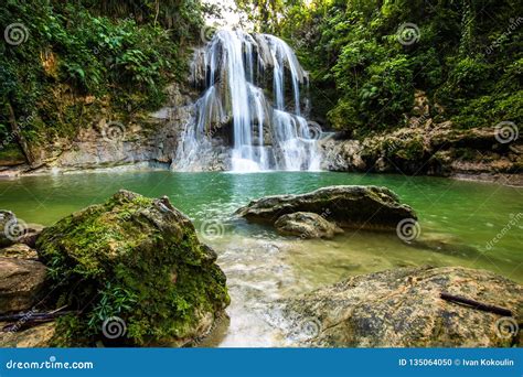 Beautiful Gozalandia Waterfall in San Sebastian Puerto Rico Stock Photo - Image of rico, water ...