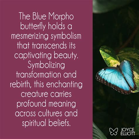 Blue Morpho Butterfly Meaning: The Sacred Messenger of the Rainforest - Joyce Elliott