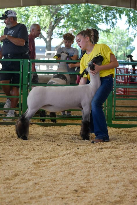 Home - Des Moines County Fair