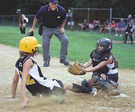 Logan Township Little League to celebrate 25 years - nj.com