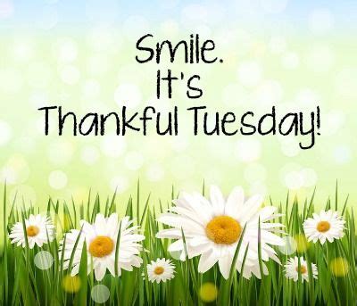 Smile Its Thankful Tuesday Pictures, Photos, and Images for Facebook, Tumblr, Pinterest, and Twitter