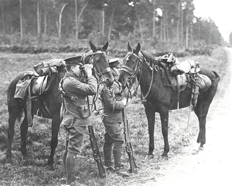 Cavalry on the Western Front | National Army Museum